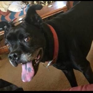 Meet your Posher, Traci